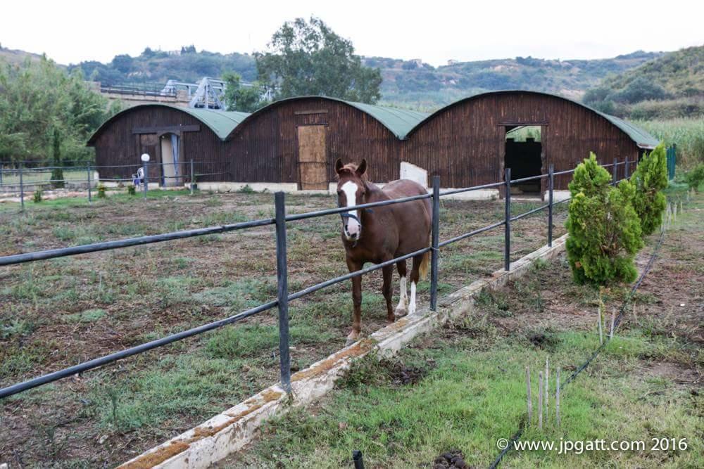 Casale Del Golfo Konuk evi Castellammare del Golfo Dış mekan fotoğraf
