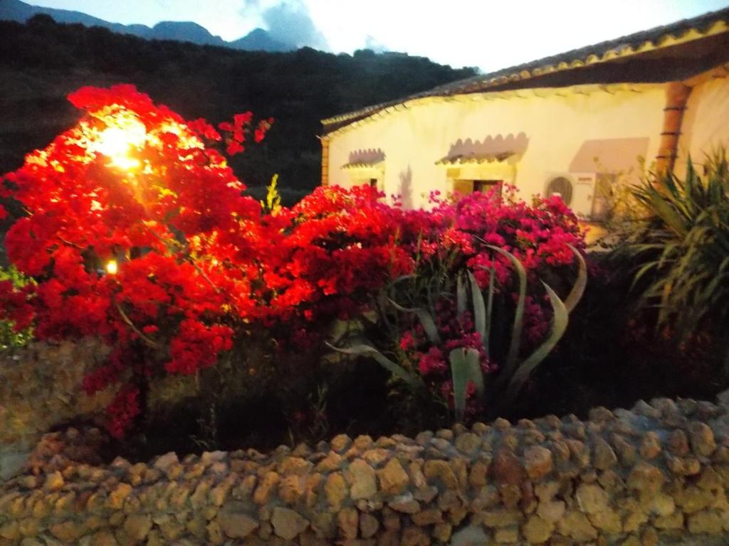 Casale Del Golfo Konuk evi Castellammare del Golfo Dış mekan fotoğraf